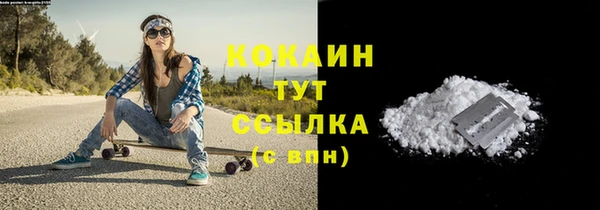 2c-b Горно-Алтайск