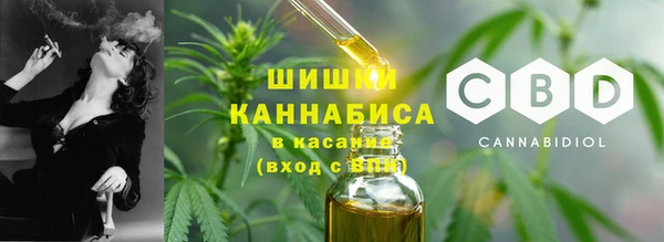 2c-b Горно-Алтайск
