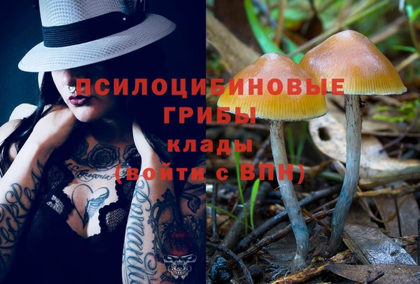 эйфоретик Горнозаводск