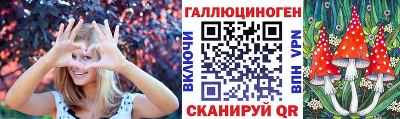 Галлюциногенные грибы Psilocybine cubensis  Зарайск 